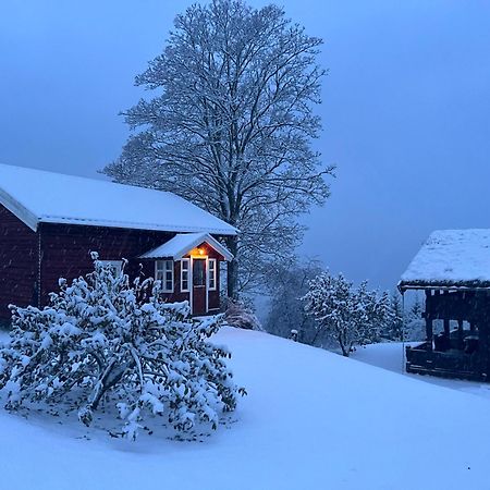 « Sofly Cottage », Le Charme Pur Noresund Esterno foto