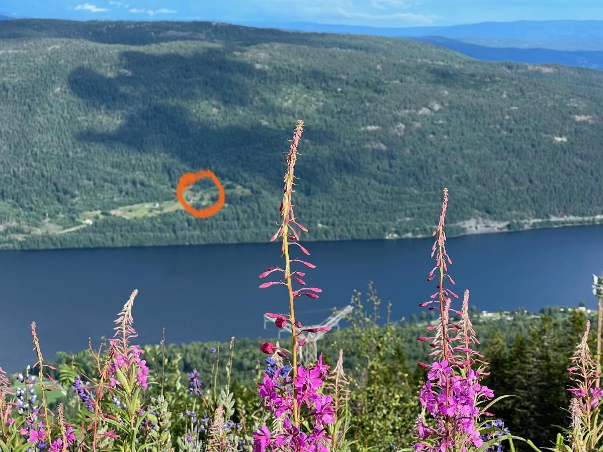 « Sofly Cottage », Le Charme Pur Noresund Esterno foto